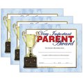 Hayes Very Important Parent Award, 8.5in x 11in, PK90 VA641